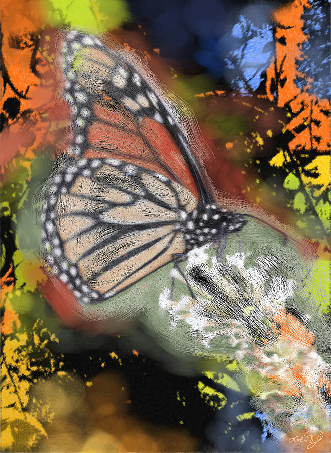 Butterfly Painting - Birthday Butterfly by Lola Villalobos