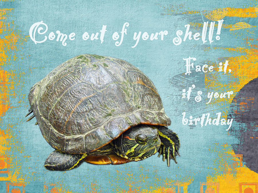Birthday Card - Painted Turtle Photograph by Carol Senske