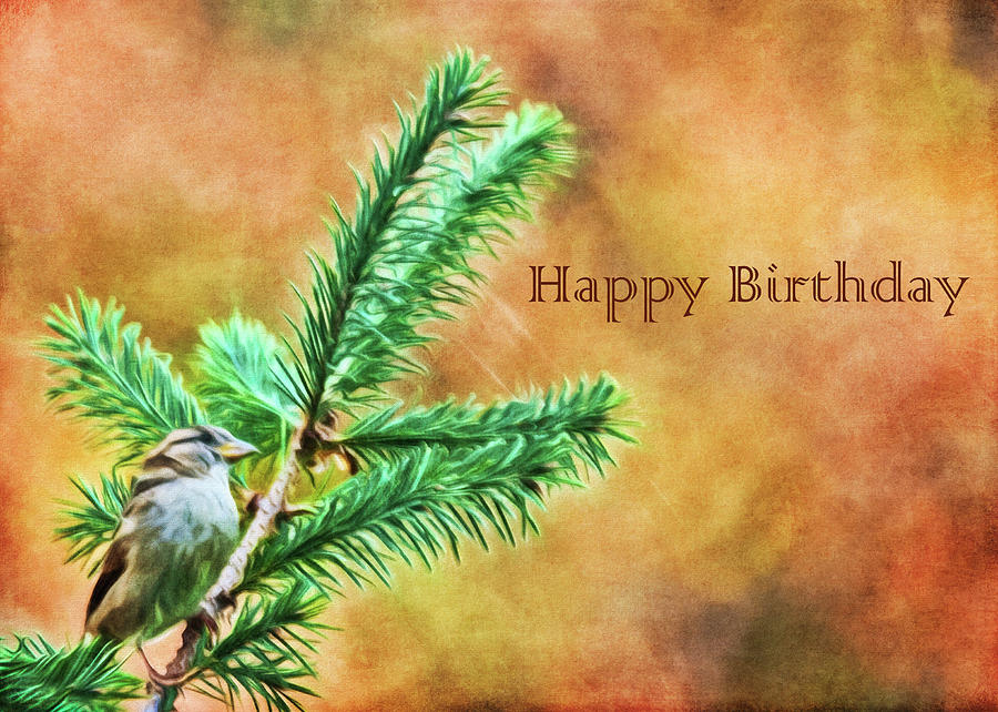 Birthday Card Photograph by Cathy Kovarik
