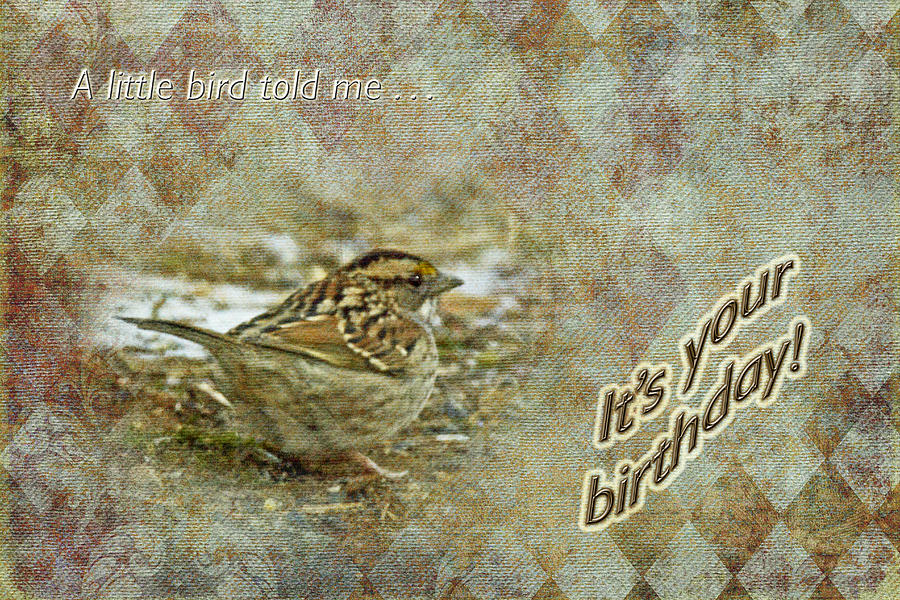 Sparrow Photograph - Birthday Greeting Card - White-throated Sparrow Songbird by Carol Senske