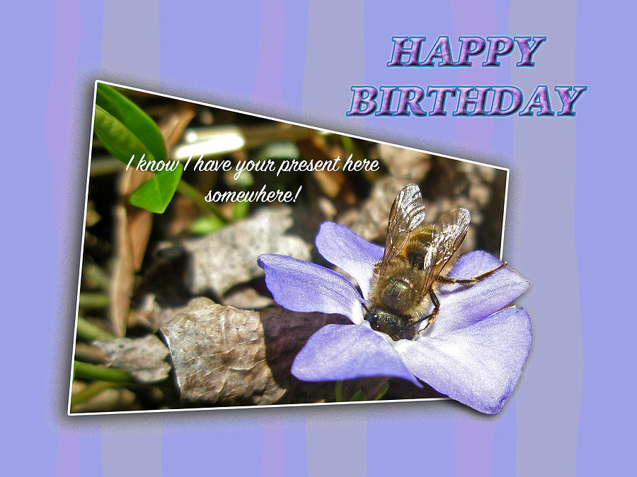 Nature Photograph - Birthday Greeting - Dumpster Diving Bee by Carol Senske