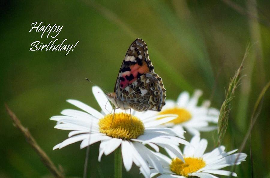 Birthday greetings Painted Lady Photograph by Nigel Radcliffe