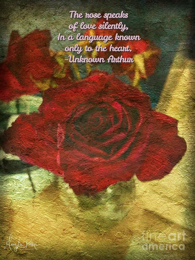 Birthday Roses With Poem Photograph