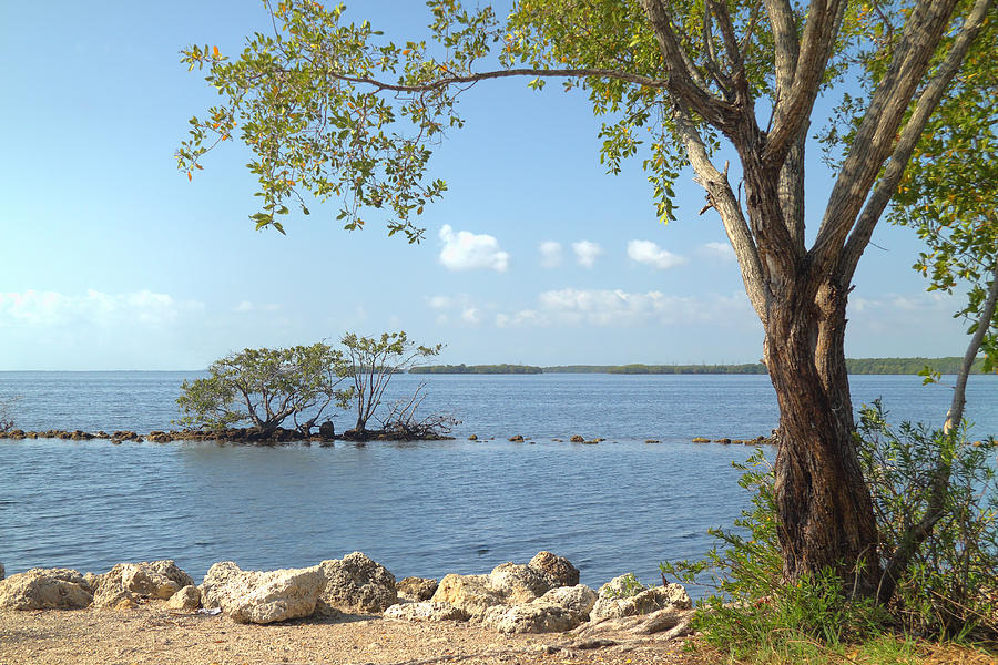 Biscayne National Park-2 Photograph by Rudy Umans
