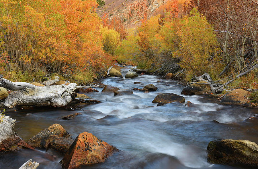 Bishop Creek Fall Season Photograph by Dung Ma