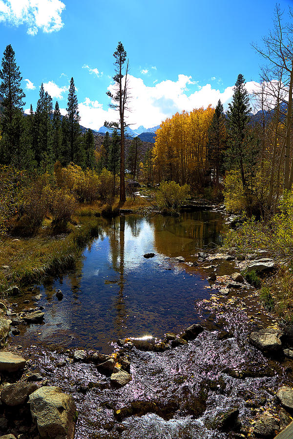 Bishop Creek In Fall Photograph by Viktor Savchenko