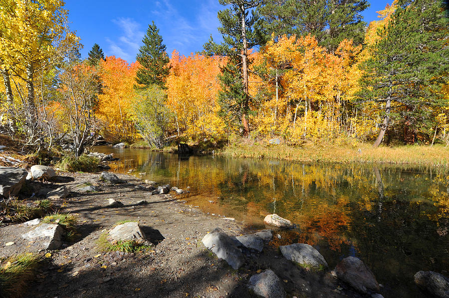 Bishop Creek in the Fall Photograph by Dung Ma