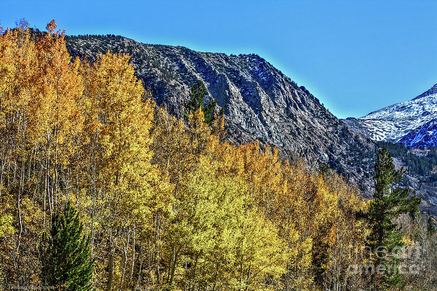 Bishop Creek Mountains Photograph