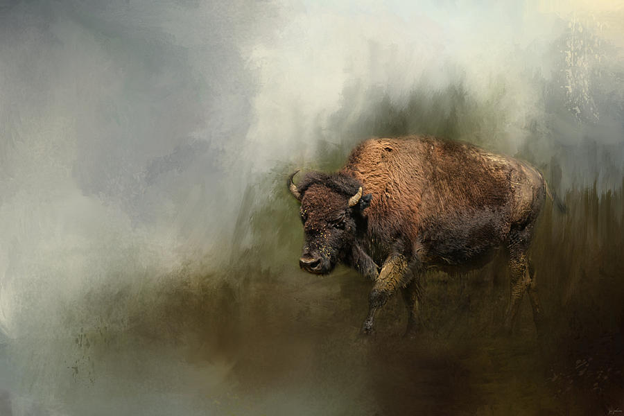 Animal Photograph - Bison After The Mud Bath by Jai Johnson