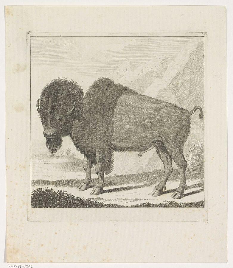 Wildlife Painting - Bison, anonymous, after Gerrit van den Heuvel, 1735 - 1859 by Gerrit van den Heuvel