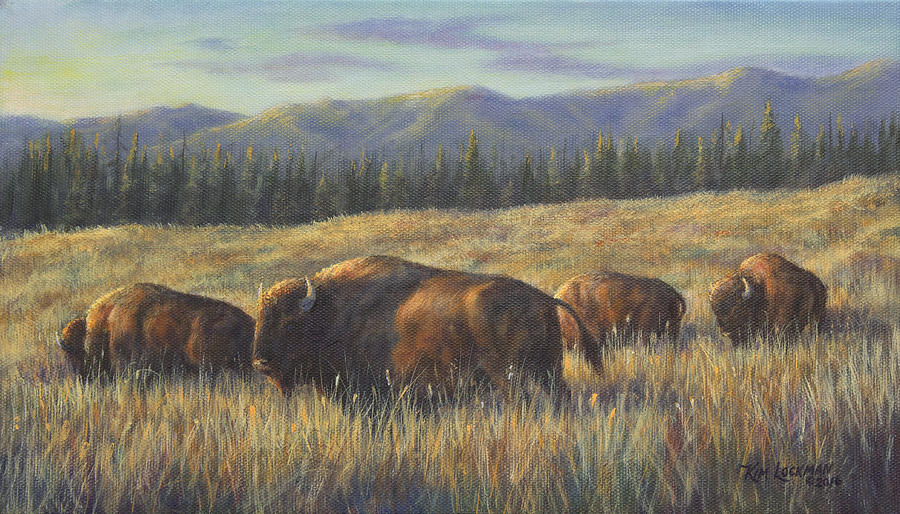 Bison Bliss Painting by Kim Lockman