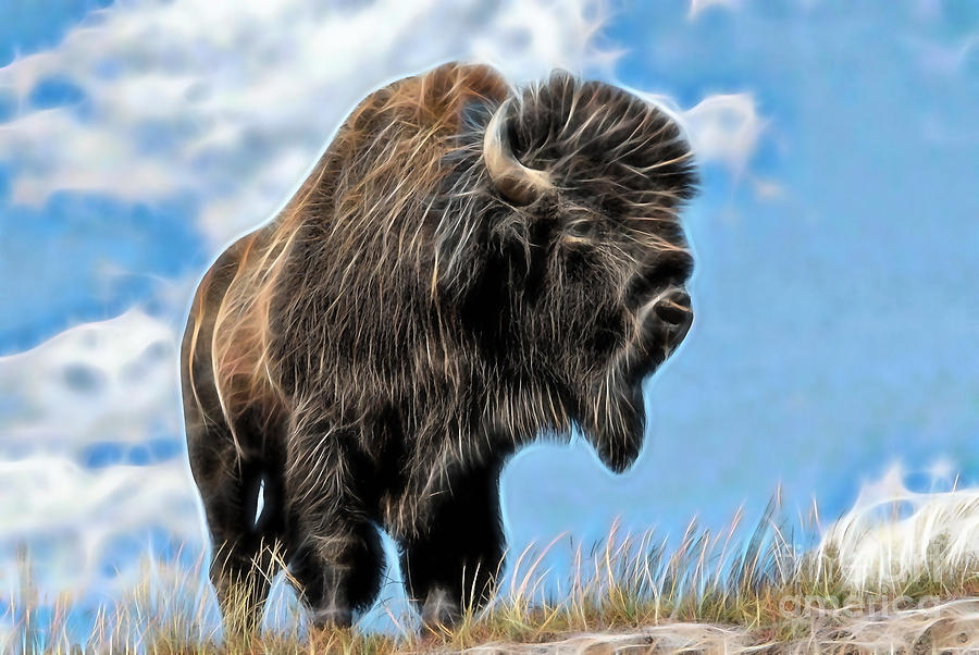 Bison Collection Mixed Media by Marvin Blaine