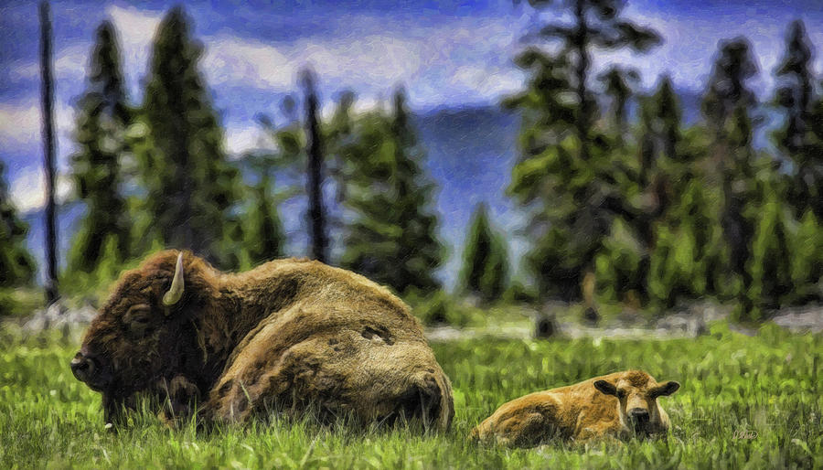 Bison-DWP1095282 Painting by Dean Wittle