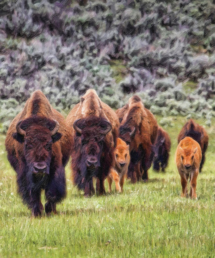 Bison - DWP15818951 Painting by Dean Wittle