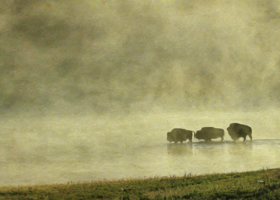 Bison - DWP1801981 Painting by Dean Wittle