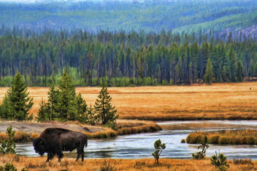 Bison-DWP987937 Painting by Dean Wittle