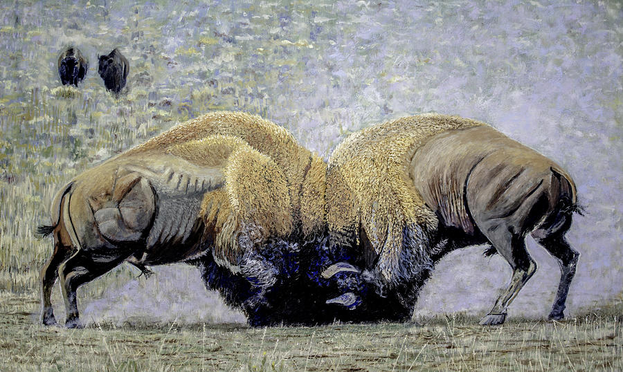 Yellowstone National Park Painting - Bison Fight Original Oil Painting 60x36x1.5 inch by Manuel Lopez