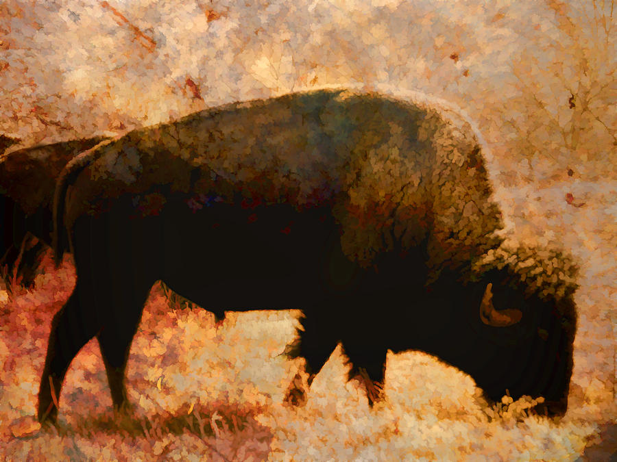 Bison Impressionistic  Digital Art by Ann Powell