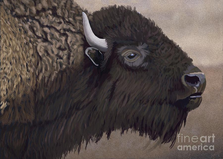 Bison Painting by Jacqueline Barden - Fine Art America