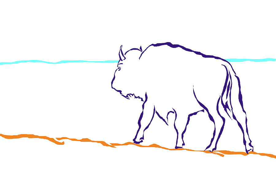 Bison Line Art Photograph by Debby Richards