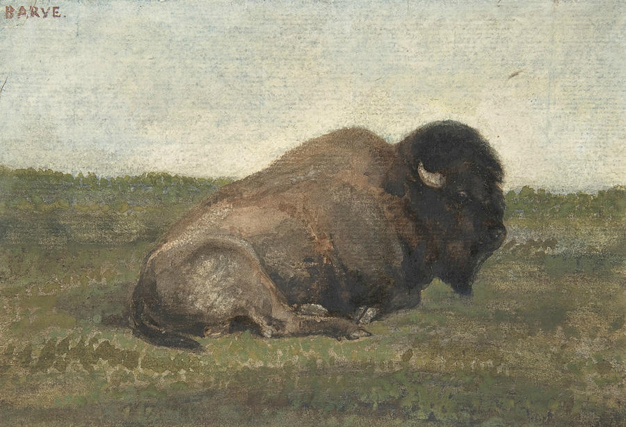 Bison Lying Down Drawing by Antoine-Louis Barye