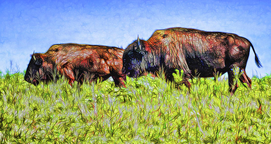 Bison Pair On The Prairie Digital Art by Ann Powell