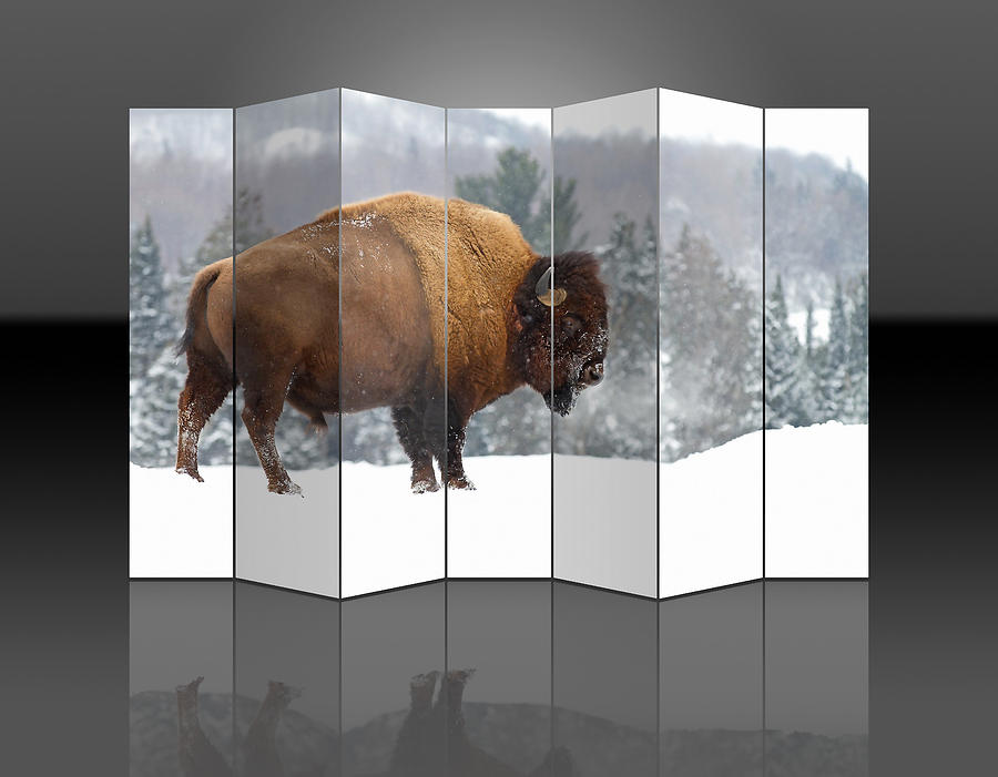 Bison Reflection Mixed Media by Marvin Blaine