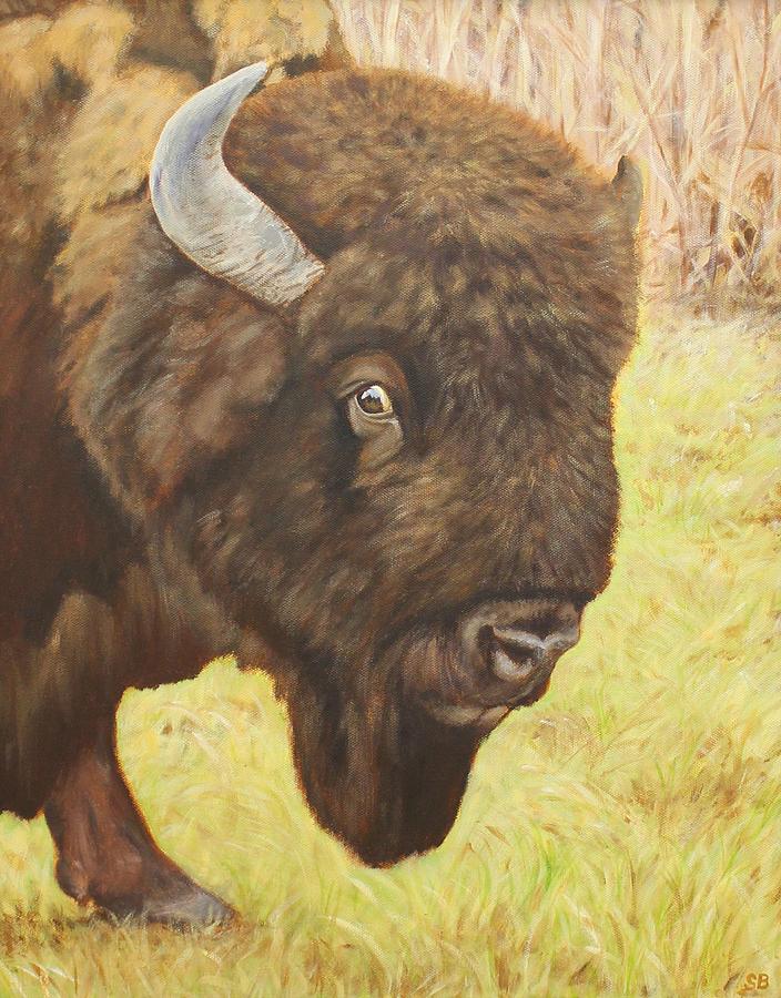 Bison Painting by Sabina Bonifazi