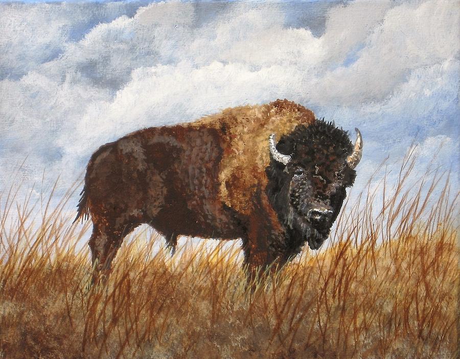Bison Painting by Sheila Banga