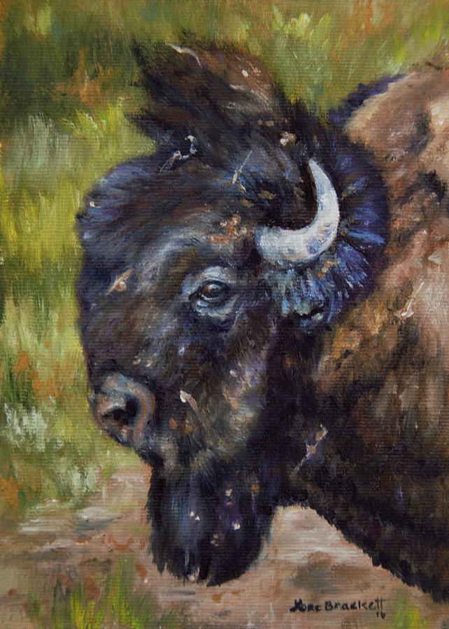 Bison Study 5 Painting by Lori Brackett
