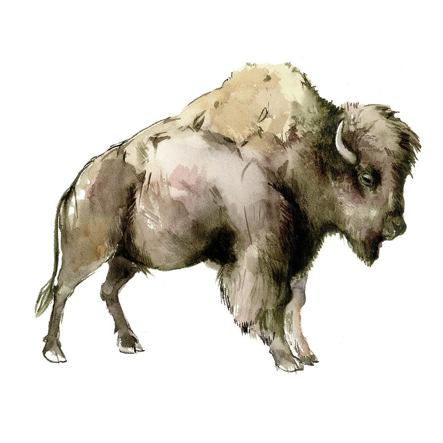 Bison Painting by Suren Nersisyan