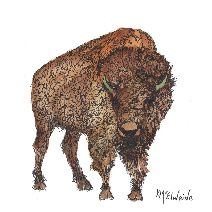 Winter Bison Watercolor Of United States Of America 2016 Mammal Fine ...