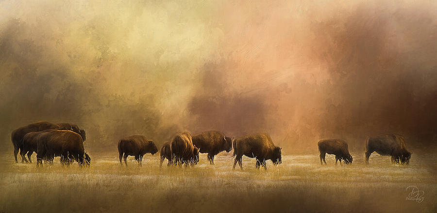 Bison - Yellowstone National Park Photograph by Debra Boucher