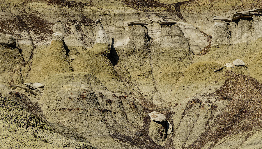 Bisti Badlands - Toadstool Formations Photograph by Debra Martz