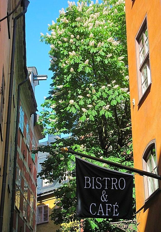 Bistro and Cafe Photograph by Betty Buller Whitehead