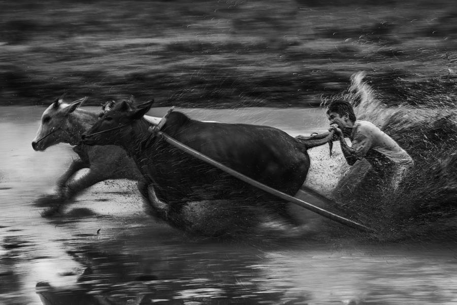 Black And White Photograph - Bite For Speed by Ismail Raja Sulbar