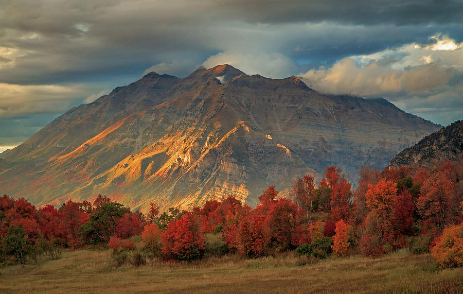 Provo Photograph - Bits of light on Timpanogos. by Wasatch Light