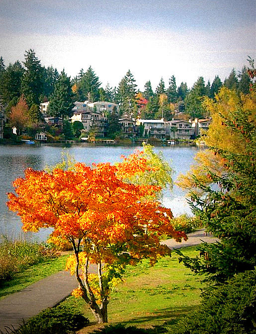 Bitter Lake Photograph by Maro Kentros - Fine Art America