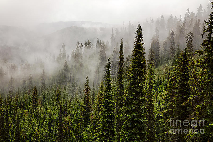 Bitterroot Mists Photograph by Idaho Scenic Images Linda Lantzy