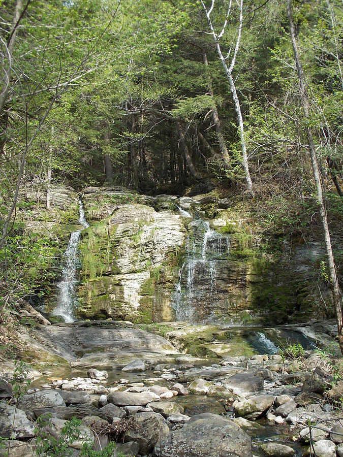 Bittersweet Falls Photograph by Catherine Gagne