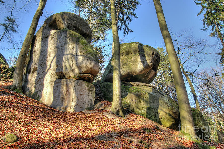 Bizarre boulders in the woods in the Bohemian Paradise Photograph by Michal Boubin
