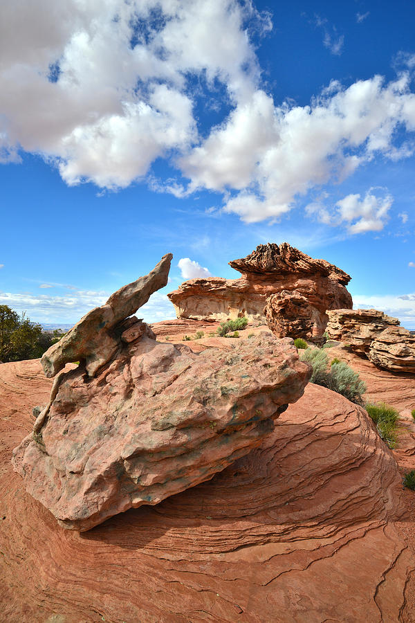 Bizarre Rocks Photograph by Ray Mathis