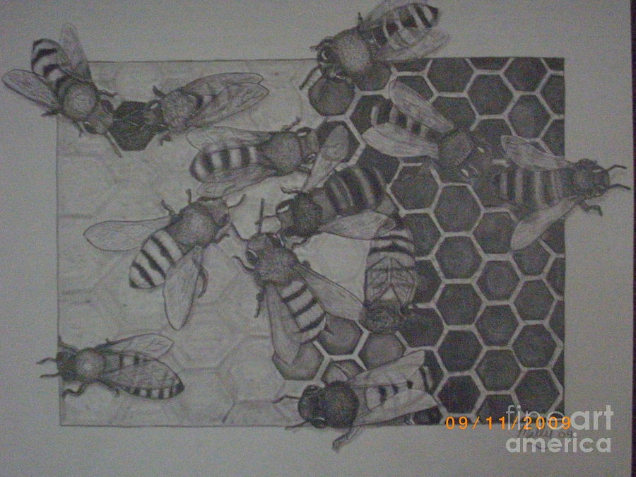 Insects Drawing - Bizzy Beez by Jason Mally