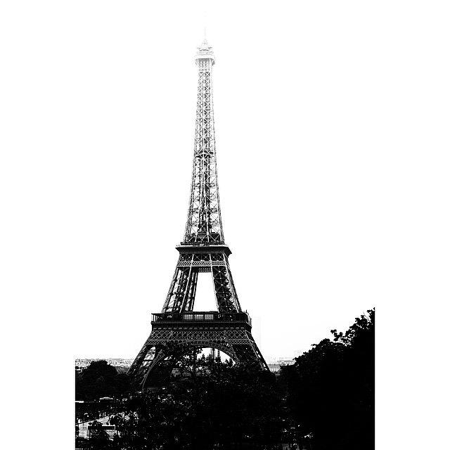 Paris Photograph - Black & White Eiffel.  #bw #paris by Georgia Clare