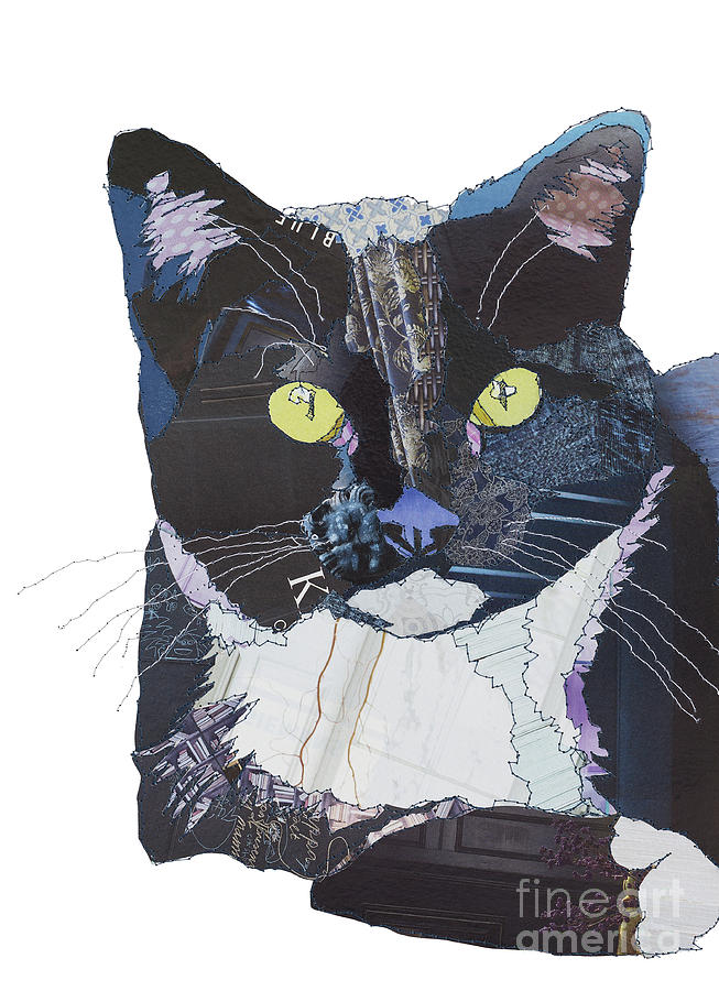 Black And White Cat Digital Art - Black and Blue Cat by MGL Meiklejohn Graphics Licensing