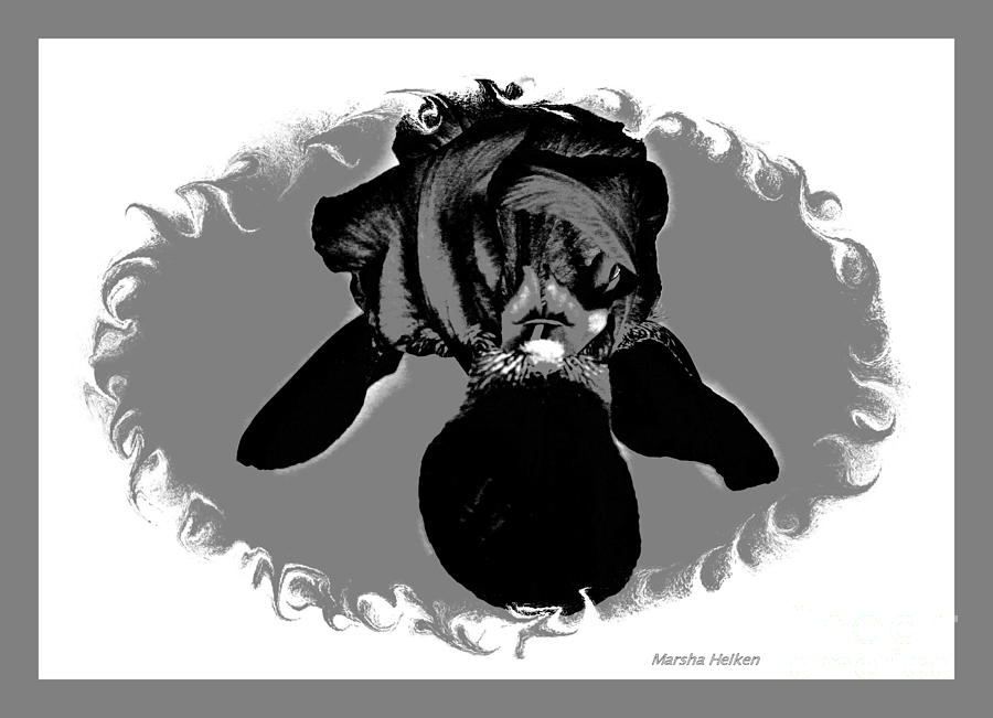 Black and Gray Digital Iris Digital Art by Marsha Heiken
