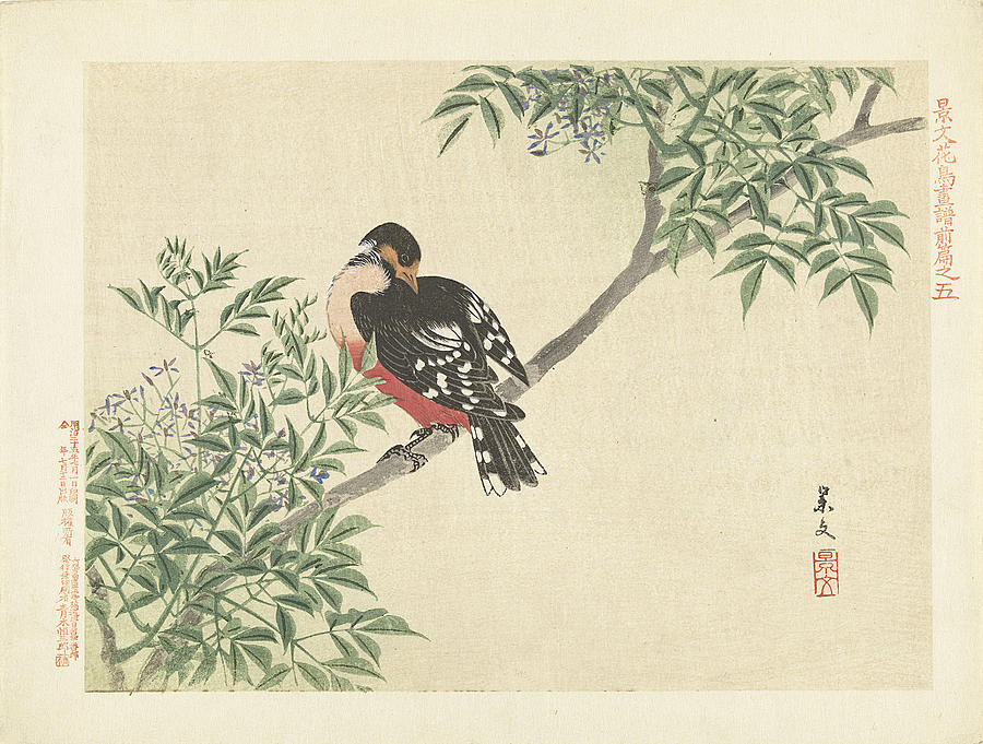Black and red bird Painting by Matsumura Keibun