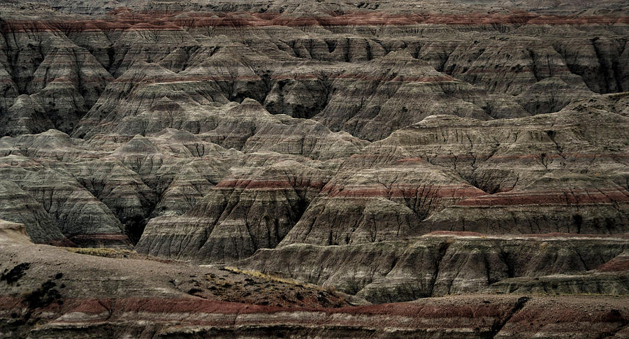 Black and Red Strata The Badlands South Dakota Photograph by Nadalyn Larsen