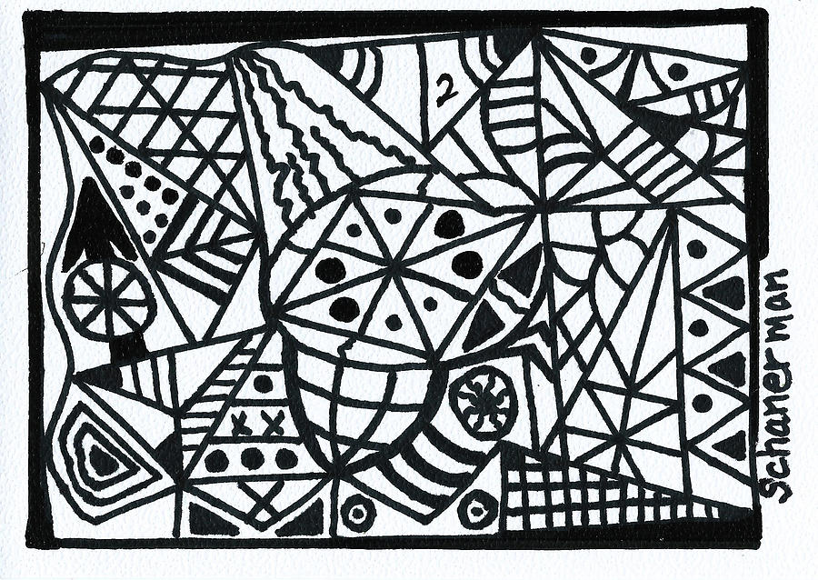 Black and White 2 Drawing by Susan Schanerman