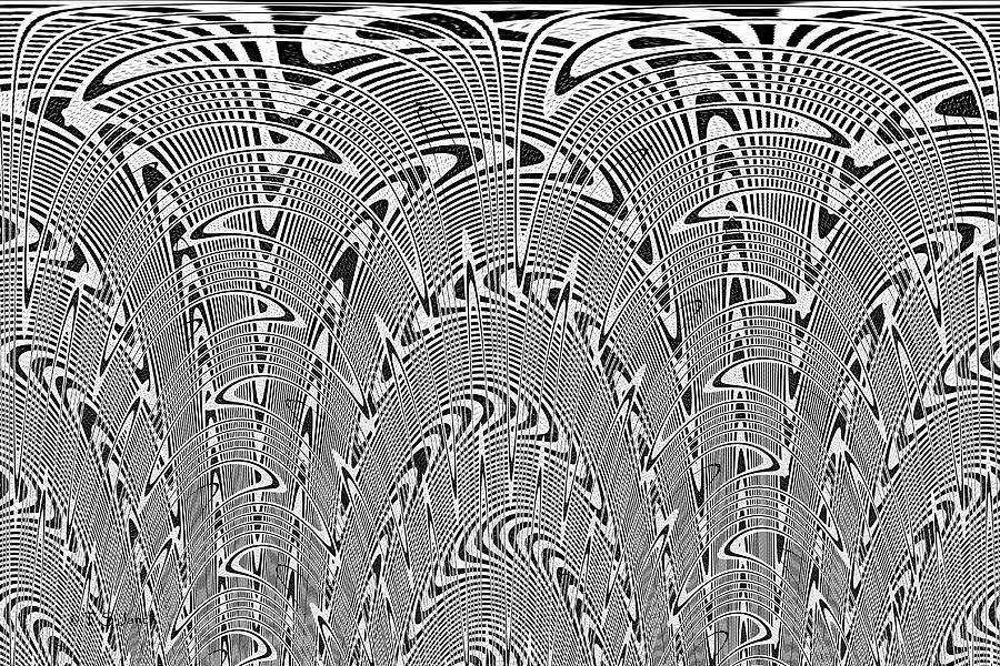 Black And White Abstract # 9 Digital Art by Tom Janca